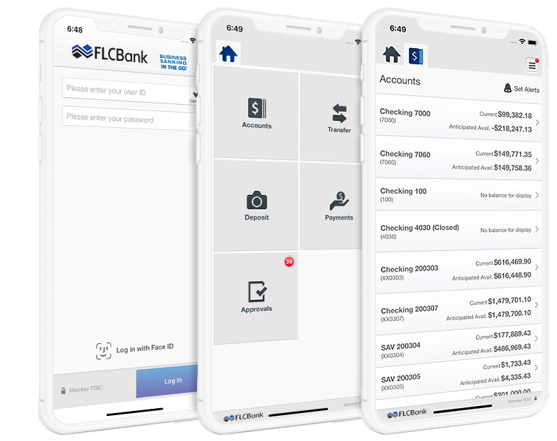 Entris Offshore Bank Business App